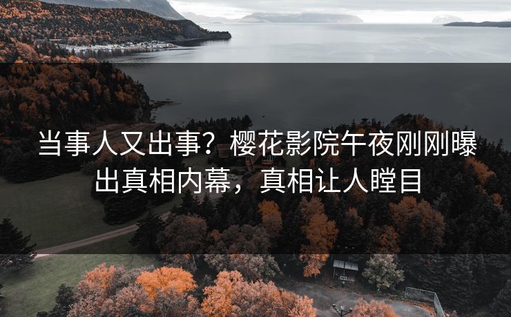 当事人又出事？樱花影院午夜刚刚曝出真相内幕，真相让人瞠目